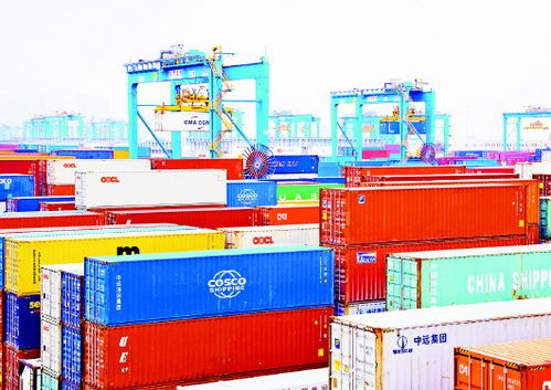 智慧引领，青岛港“连钢创新团队”三年铸就全球领先全自动化集装箱码头